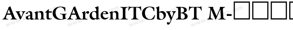 AvantGArdenITCbyBT M字体转换